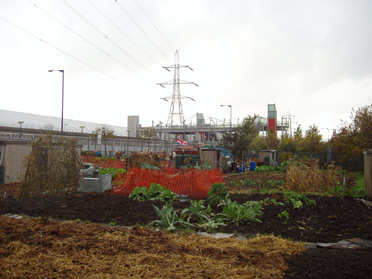 Leyes Road Allotments